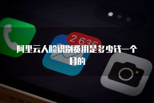 阿里云人脸识别费用是多少钱一个月的