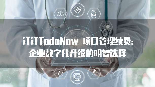 钉钉TodoNow 项目管理续费：企业数字化升级的明智选择