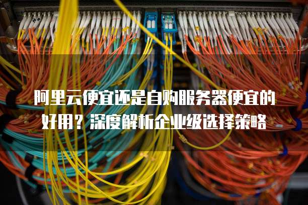 阿里云便宜还是自购服务器便宜的好用?深度解析企业级选择策略