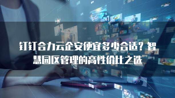 钉钉合力云企安便宜多少合适?智慧园区管理的高性价比之选