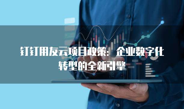 钉钉用友云项目政策:企业数字化转型的全新引擎