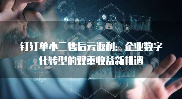 钉钉单小二售后云返利:企业数字化转型的双重收益新机遇