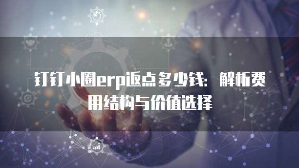 钉钉小圈erp返点多少钱:解析费用结构与价值选择