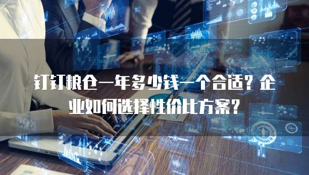 钉钉粮仓一年多少钱一个合适?企业如何选择性价比方案?