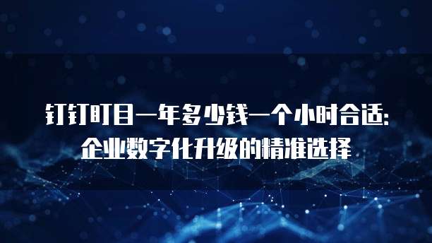 钉钉盯目一年多少钱一个小时合适:企业数字化升级的精准选择