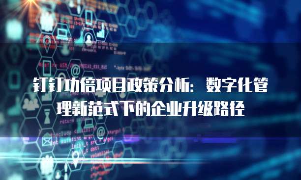钉钉功倍项目政策分析:数字化管理新范式下的企业升级路径