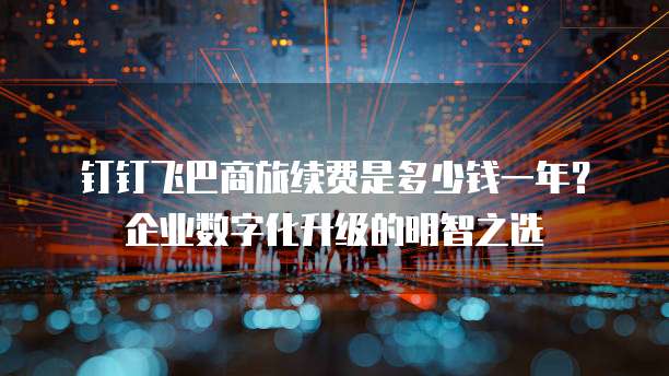 钉钉飞巴商旅续费是多少钱一年?企业数字化升级的明智之选
