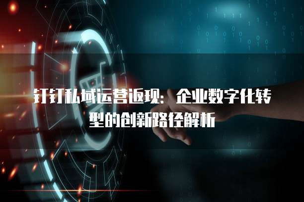 钉钉私域运营返现：企业数字化转型的创新路径解析