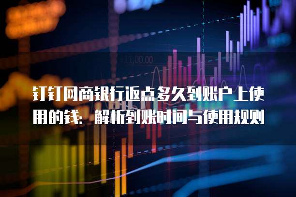 钉钉网商银行返点多久到账户上使用的钱:解析到账时间与使用规则