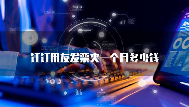 钉钉用友发票夹一个月多少钱