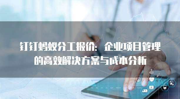 钉钉蚂蚁分工报价:企业项目管理的高效解决方案与成本分析