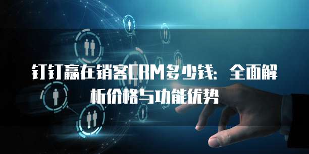 钉钉赢在销客CRM多少钱:全面解析价格与功能优势