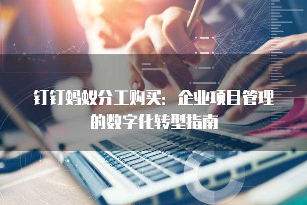 钉钉蚂蚁分工购买:企业项目管理的数字化转型指南