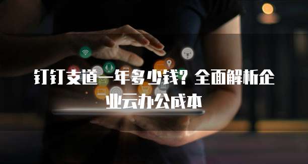 钉钉支道一年多少钱?全面解析企业云办公成本