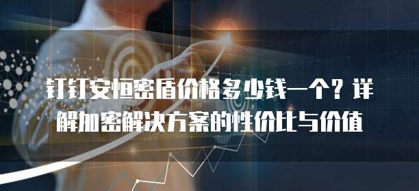 钉钉安恒密盾价格多少钱一个？详解加密解决方案的性价比与价值