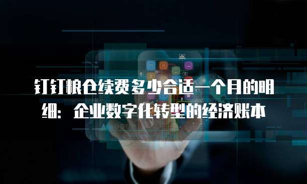 钉钉粮仓续费多少合适一个月的明细:企业数字化转型的经济账本