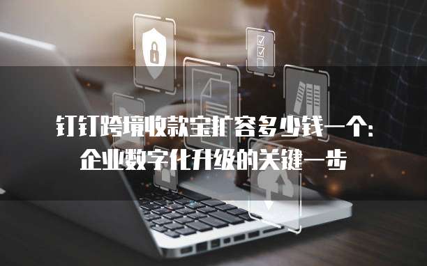 钉钉跨境收款宝扩容多少钱一个:企业数字化升级的关键一步