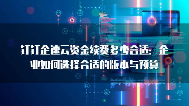钉钉企速云资金续费多少合适:企业如何选择合适的版本与预算