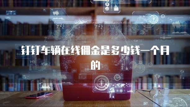 钉钉车辆在线佣金是多少钱一个月的