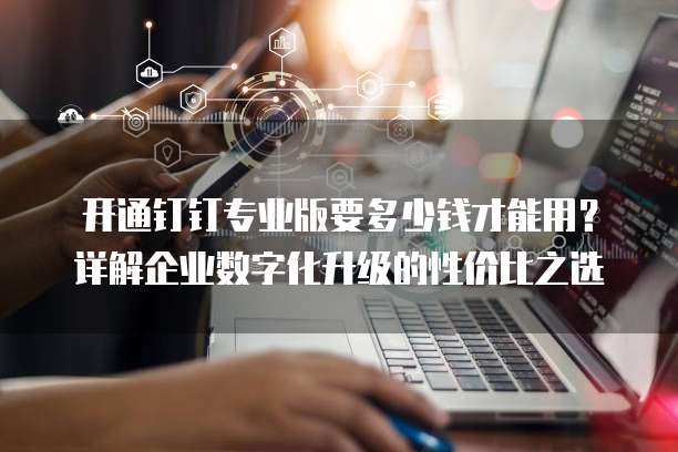 开通钉钉专业版要多少钱才能用?详解企业数字化升级的性价比之选