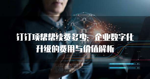 钉钉项帮帮续费多少：企业数字化升级的费用与价值解析