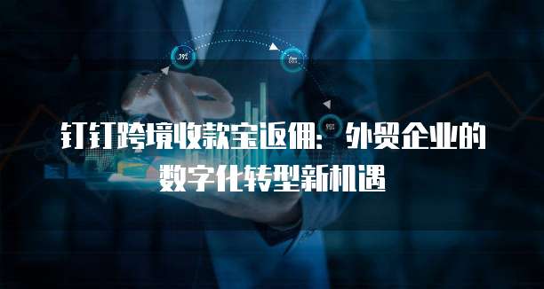钉钉跨境收款宝返佣:外贸企业的数字化转型新机遇
