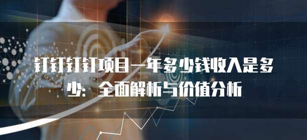 钉钉钉钉项目一年多少钱收入是多少:全面解析与价值分析