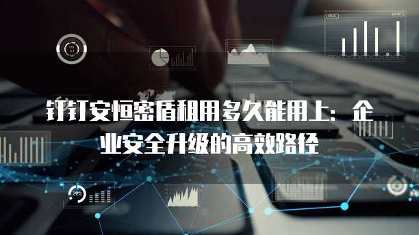 钉钉安恒密盾租用多久能用上:企业安全升级的高效路径