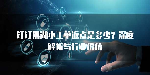 钉钉黑湖小工单返点是多少?深度解析与行业价值