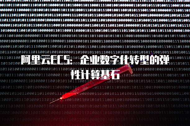 阿里云ECS:企业数字化转型的弹性计算基石