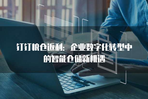 钉钉粮仓返利:企业数字化转型中的智能仓储新机遇