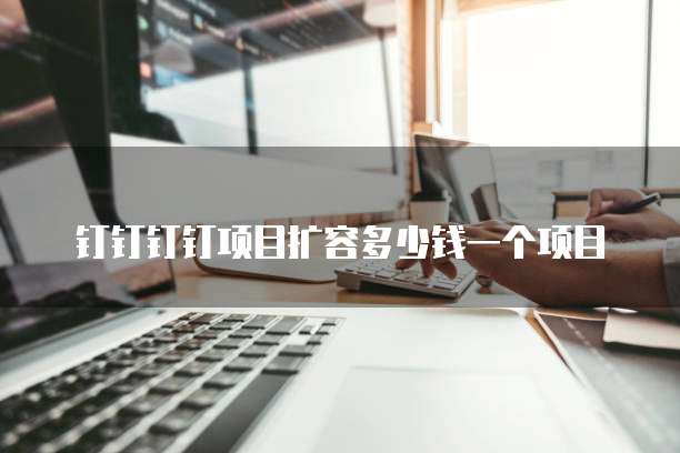 钉钉钉钉项目扩容多少钱一个项目