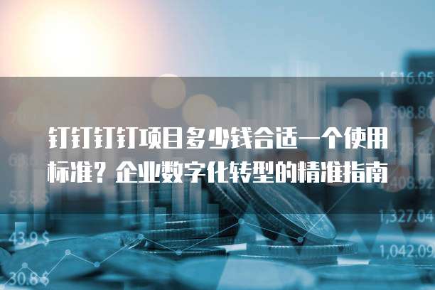 钉钉钉钉项目多少钱合适一个使用标准?企业数字化转型的精准指南