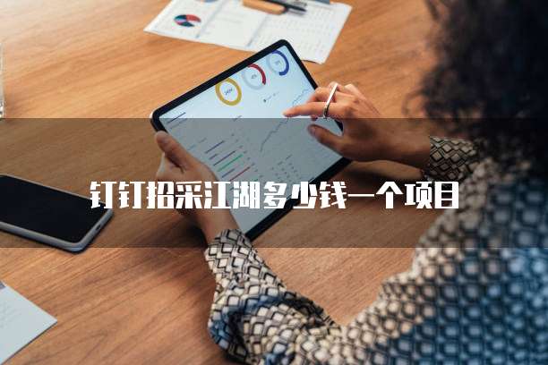 钉钉招采江湖多少钱一个项目