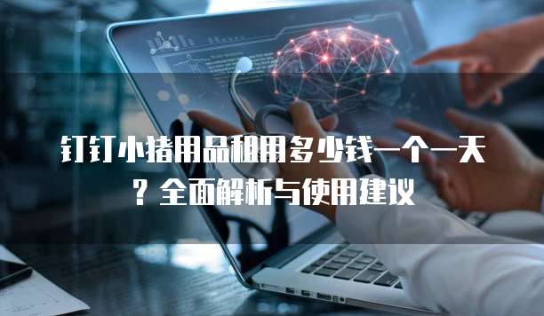 钉钉小猪用品租用多少钱一个一天?全面解析与使用建议