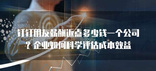 钉钉用友薪酬返点多少钱一个公司?企业如何科学评估成本效益