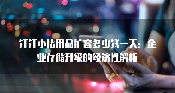 钉钉小猪用品扩容多少钱一天:企业存储升级的经济性解析