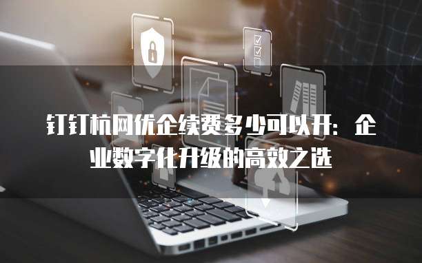 钉钉杭网优企续费多少可以开:企业数字化升级的高效之选