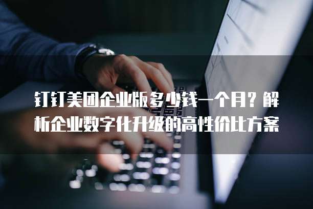 钉钉美团企业版多少钱一个月?解析企业数字化升级的高性价比方案