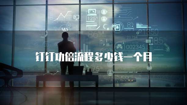 钉钉功倍流程多少钱一个月