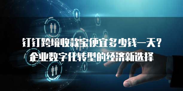 钉钉跨境收款宝便宜多少钱一天?企业数字化转型的经济新选择