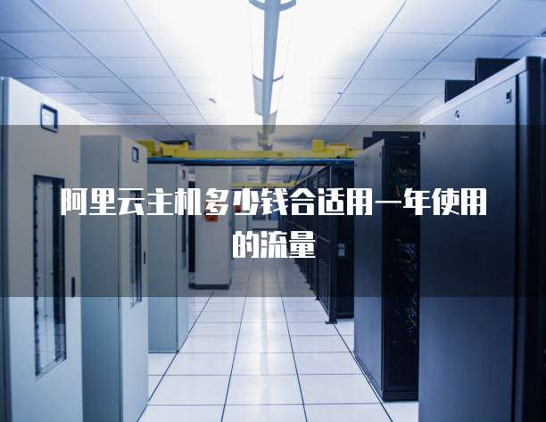 阿里云主机多少钱合适用一年使用的流量