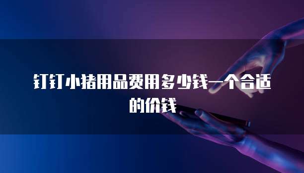 钉钉小猪用品费用多少钱一个合适的价钱