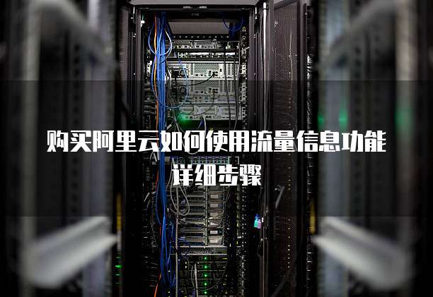 购买阿里云如何使用流量信息功能详细步骤