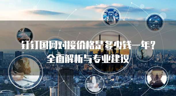 钉钉国网对接价格是多少钱一年?全面解析与专业建议