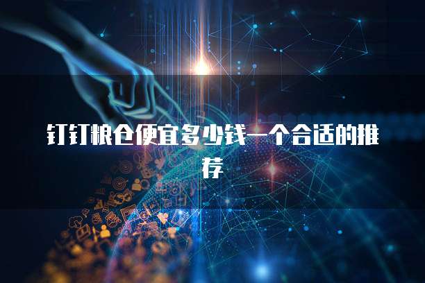 钉钉粮仓便宜多少钱一个合适的推荐