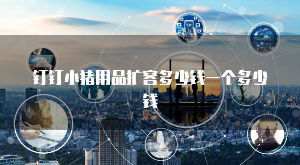 钉钉小猪用品扩容多少钱一个多少钱