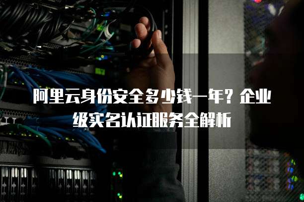 阿里云身份安全多少钱一年?企业级实名认证服务全解析