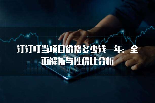 钉钉叮当项目价格多少钱一年:全面解析与性价比分析