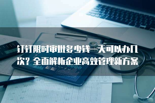 钉钉限时审批多少钱一天可以办几次?全面解析企业高效管理新方案